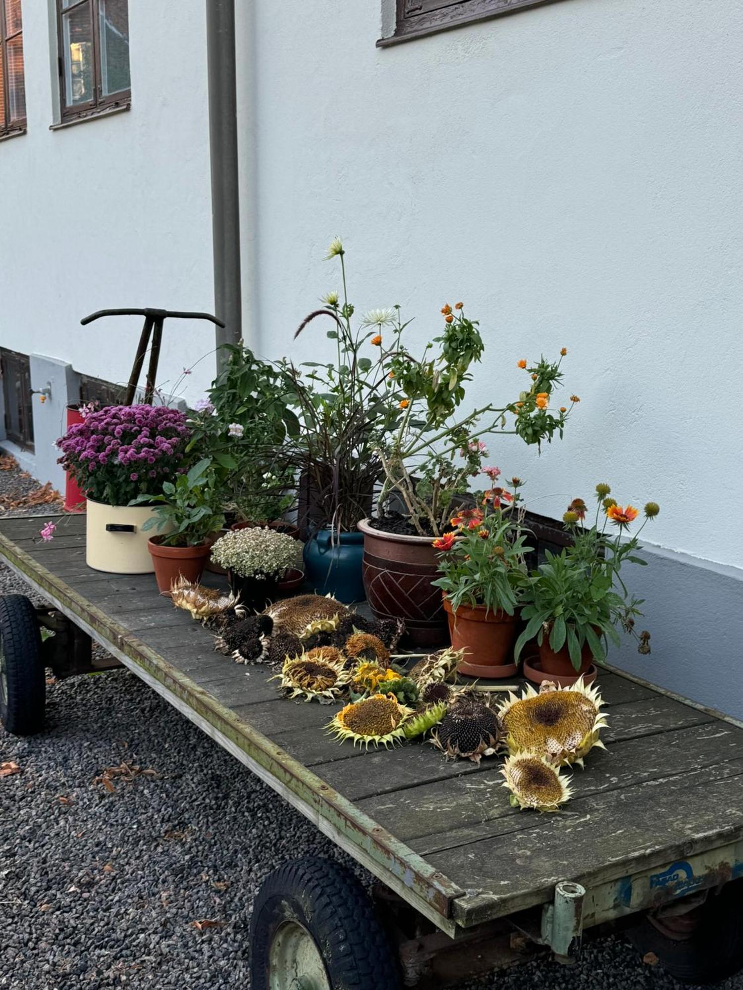 Stf Landskrona Hostel แลนด์สครูนา ภายนอก รูปภาพ